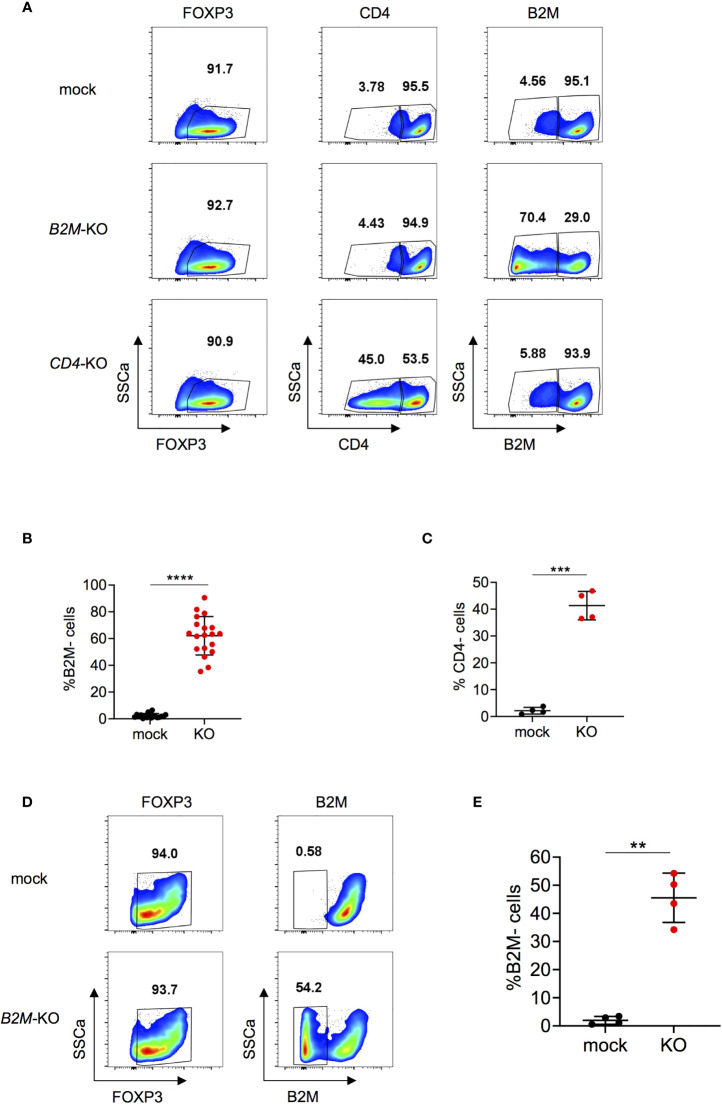 Figure 2