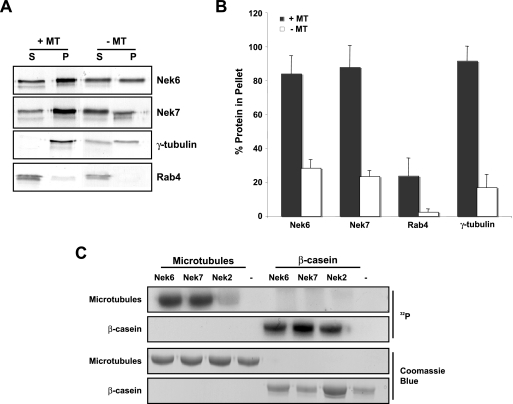 FIG. 8.