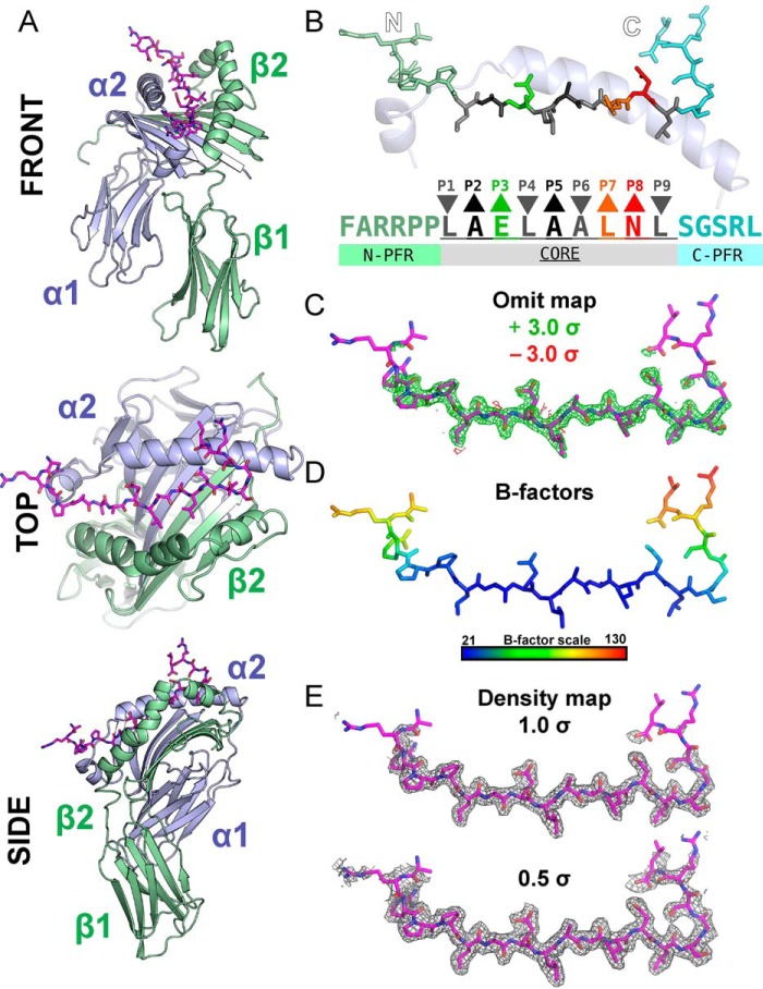 Figure 3.