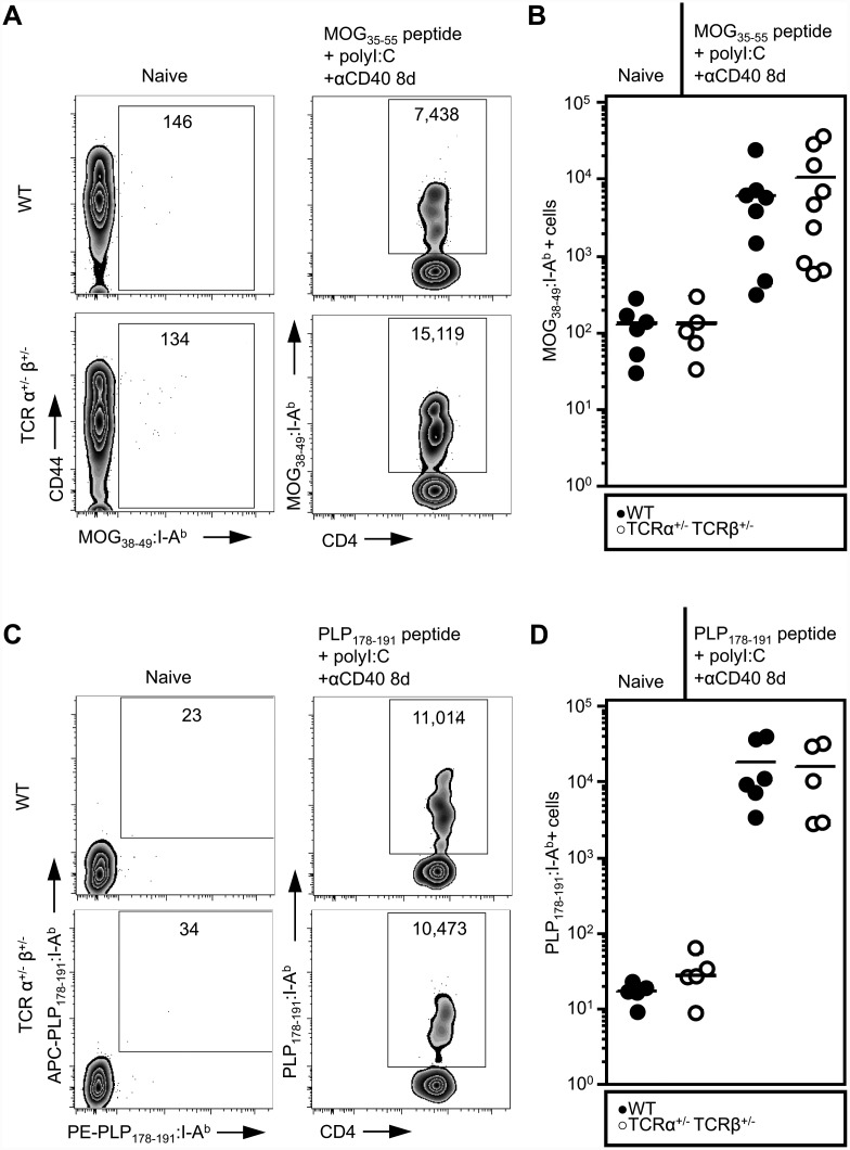 Fig 5