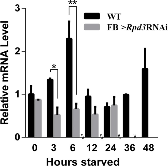 Fig 6