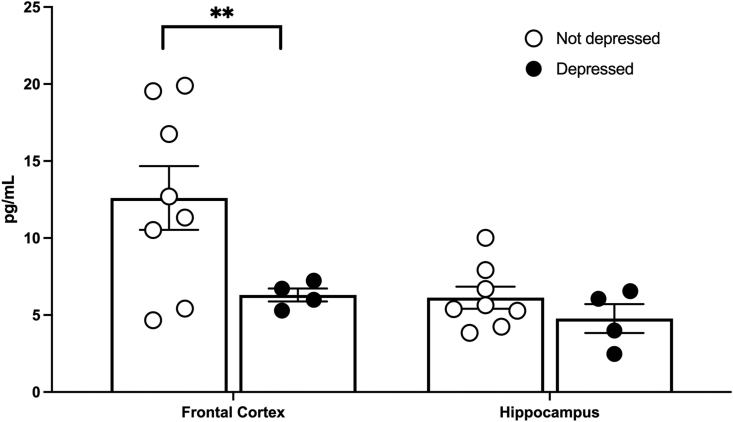 Fig. 10