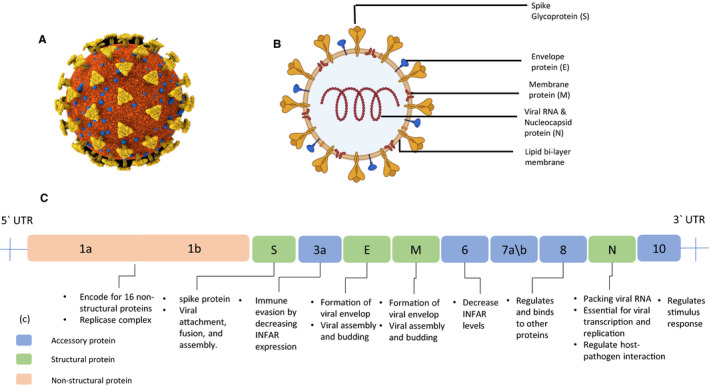 FIGURE 1