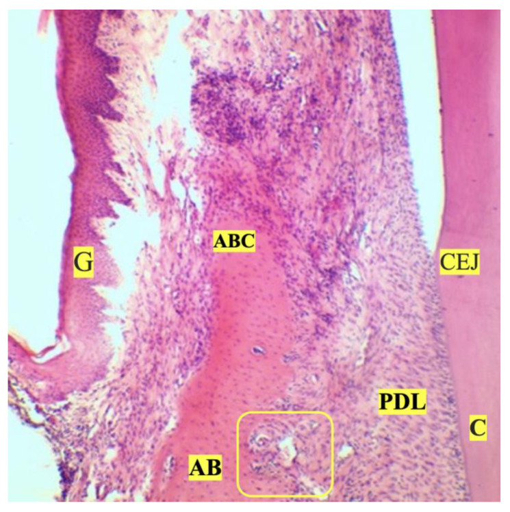 Figure 7