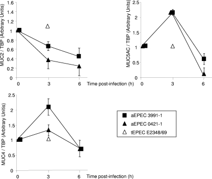 FIG. 6.