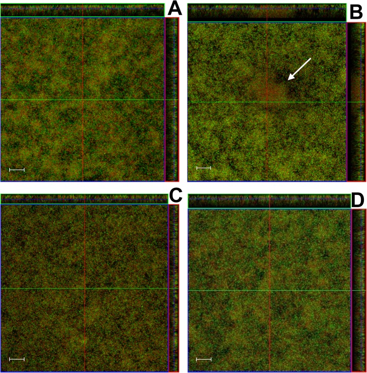 Fig 4