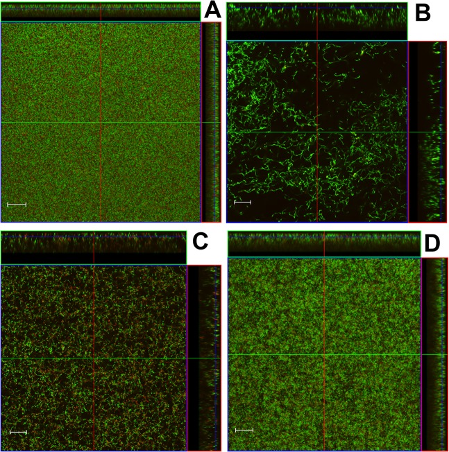 Fig 6