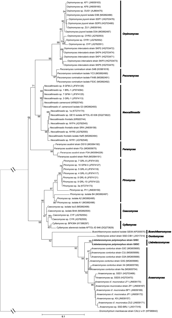 Figure 5.