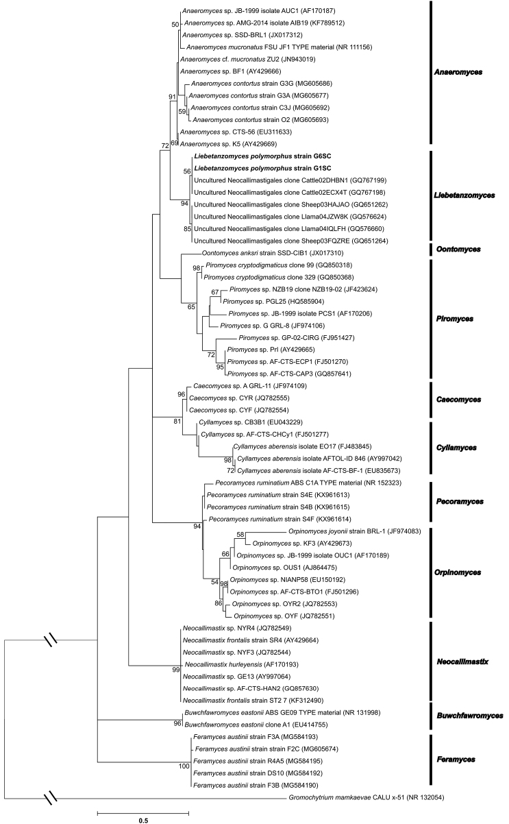 Figure 6.