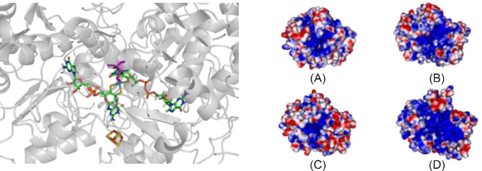 Figure 3.