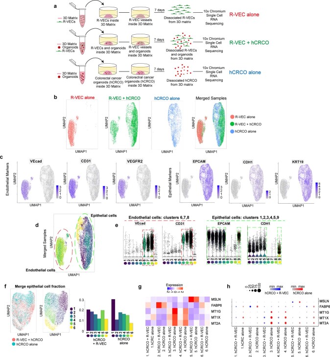 Extended Data Fig. 10