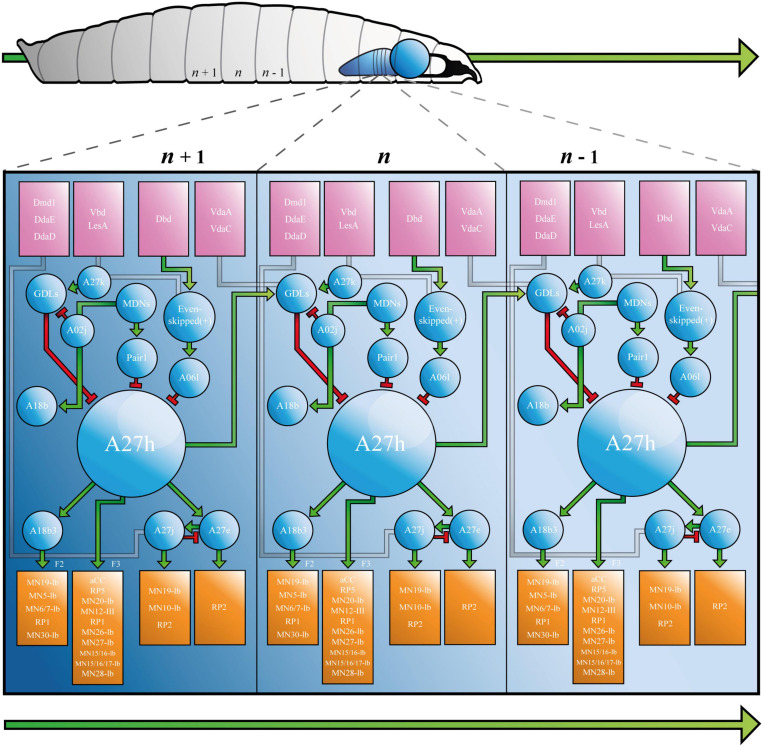 FIGURE 2