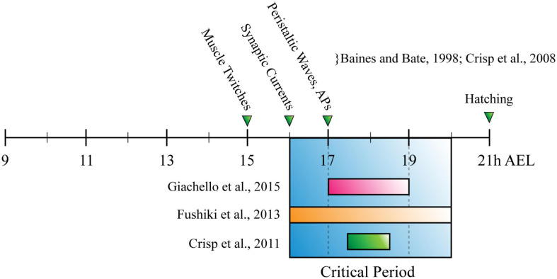 FIGURE 3