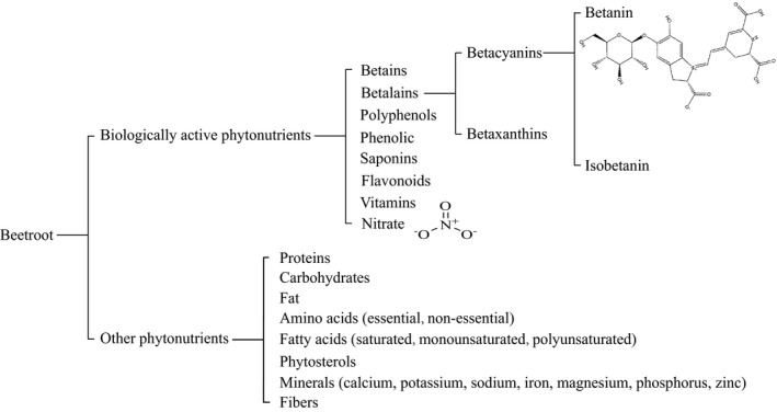 FIGURE 1