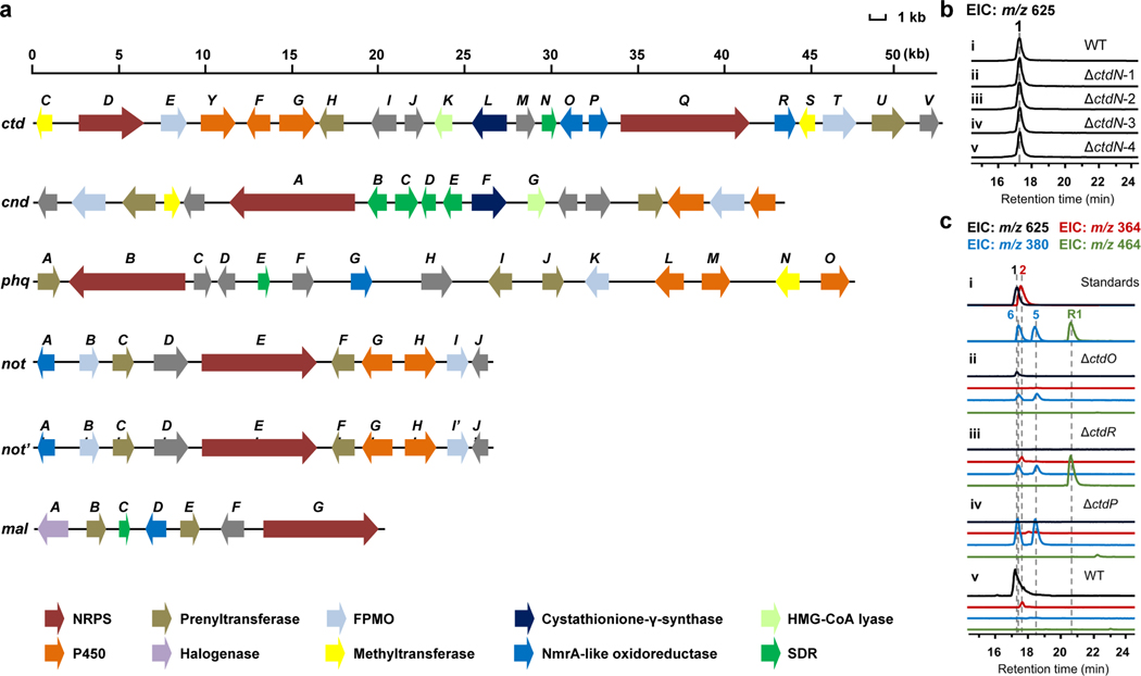 Extended Fig 2-