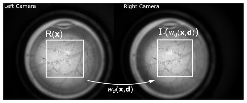 Fig. 5