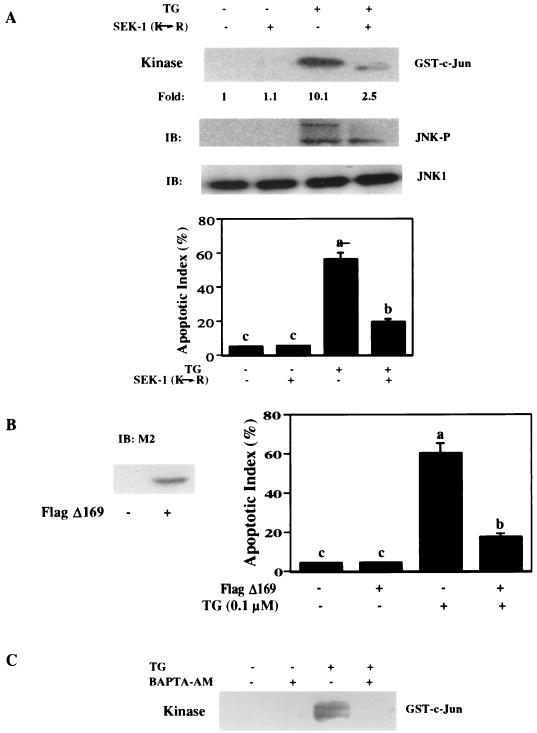 FIG. 10