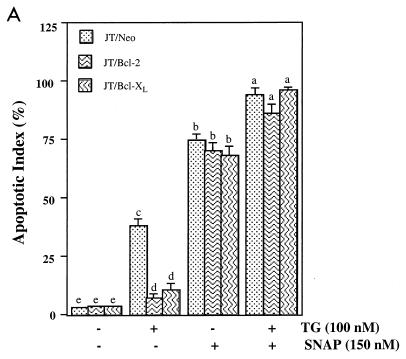 FIG. 12