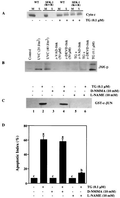 FIG. 11