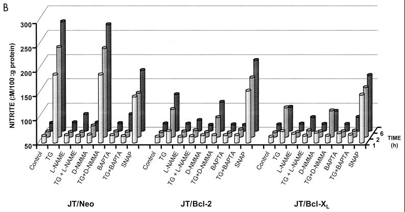 FIG. 12