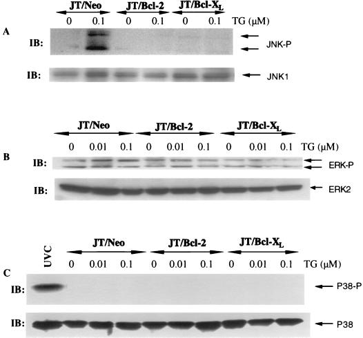 FIG. 9