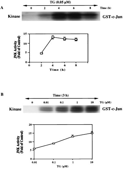 FIG. 8