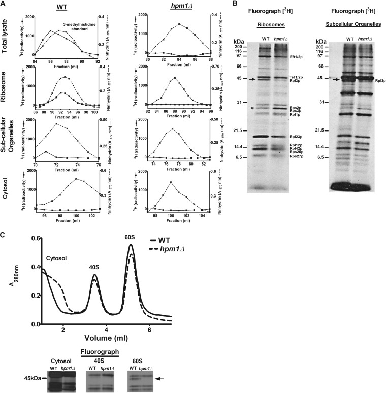 FIG 1