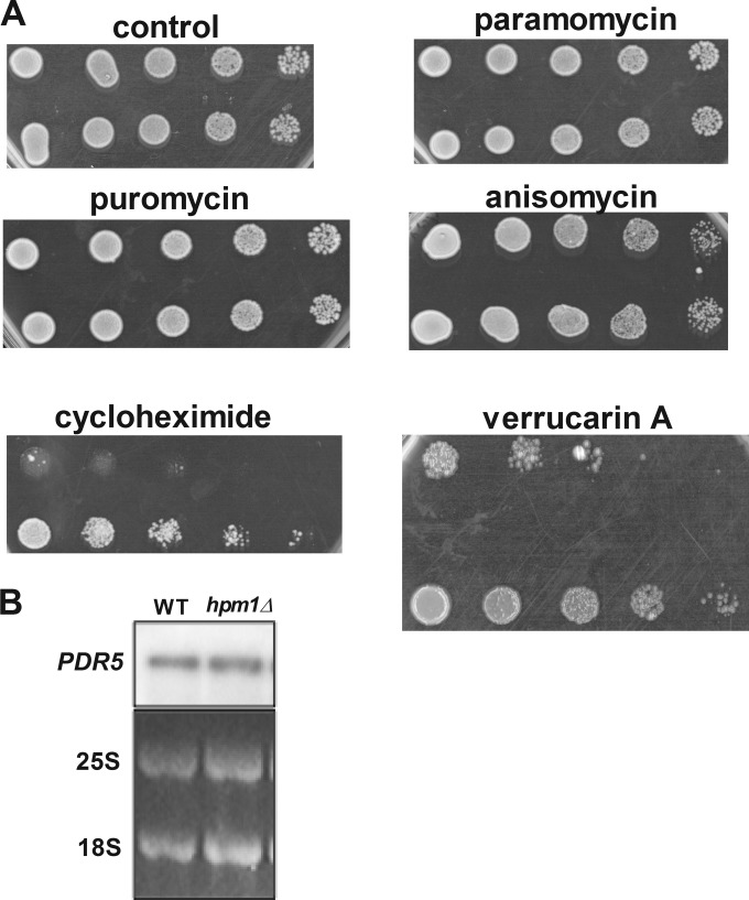 FIG 6