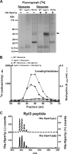 FIG 2