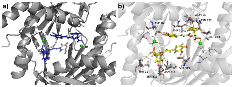 Figure 9