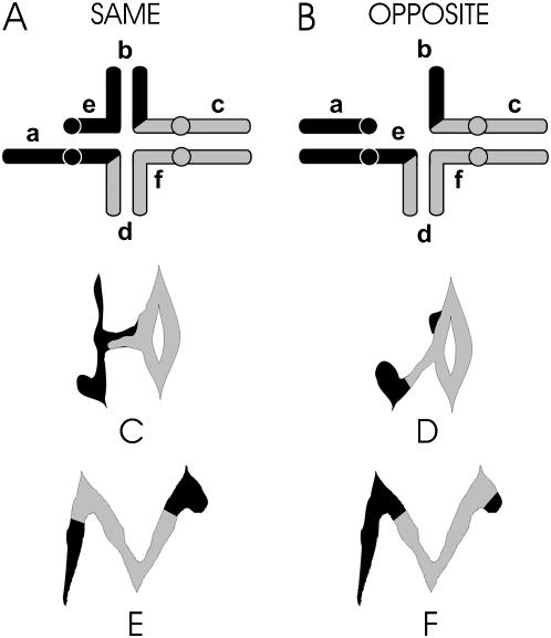 Figure 2.—