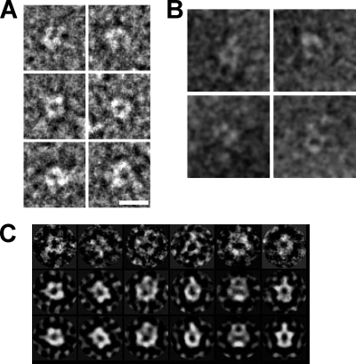 Fig. 2.