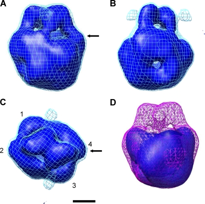 Fig. 3.