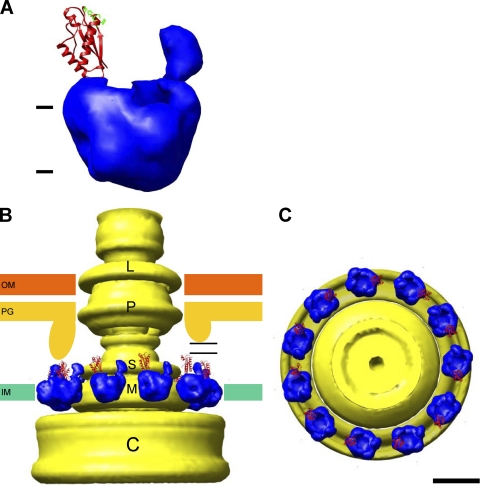 Fig. 5.