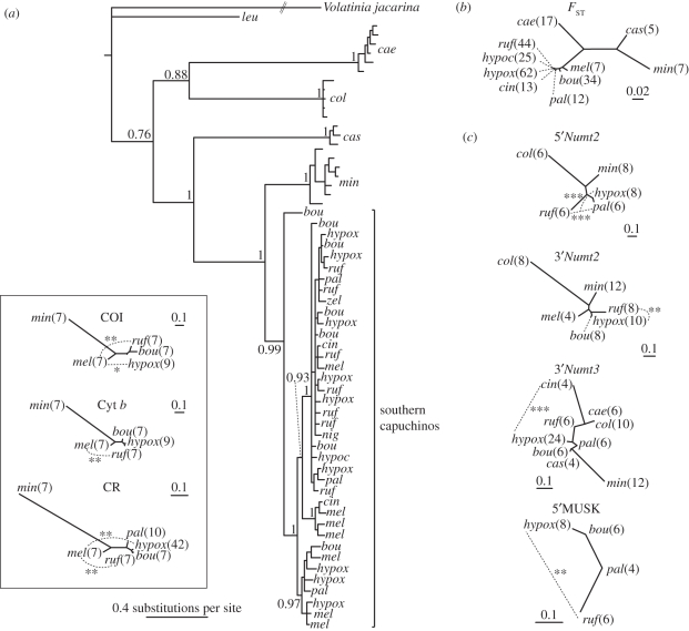 Figure 4.