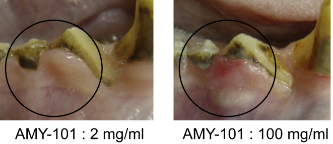 Figure 2