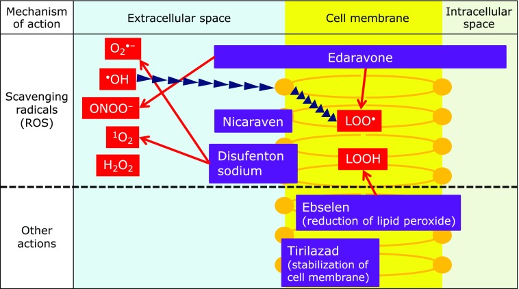 Fig. 10