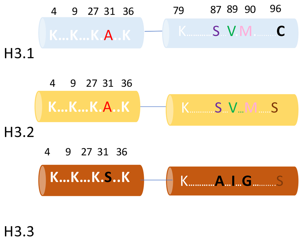 Figure 2: