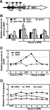 FIG. 2.