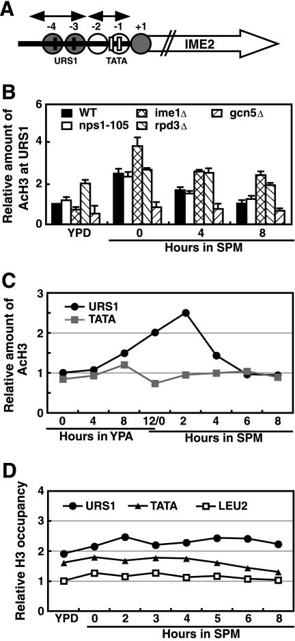 FIG. 2.