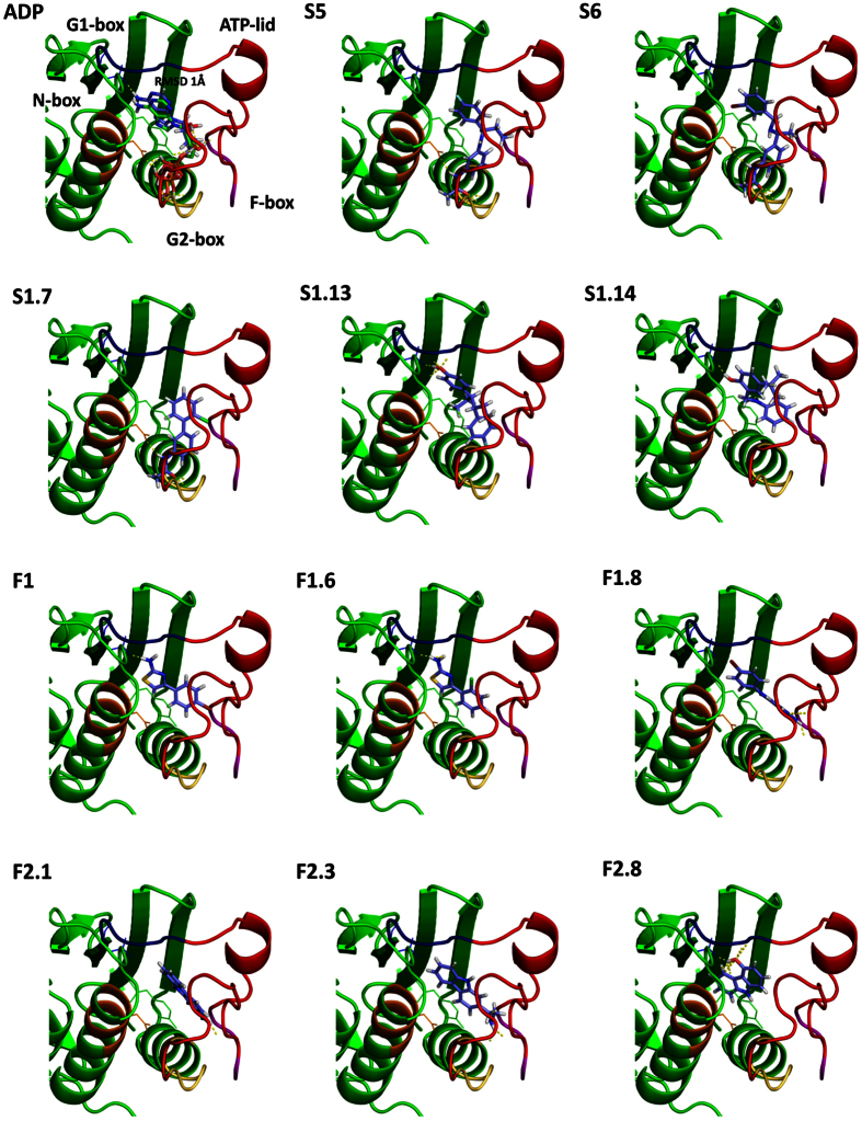 Figure 5