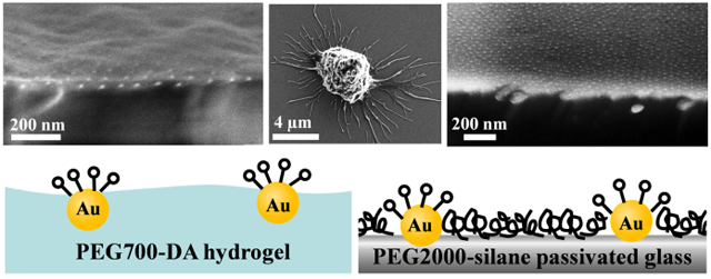 graphic file with name nihms-497059-f0001.jpg