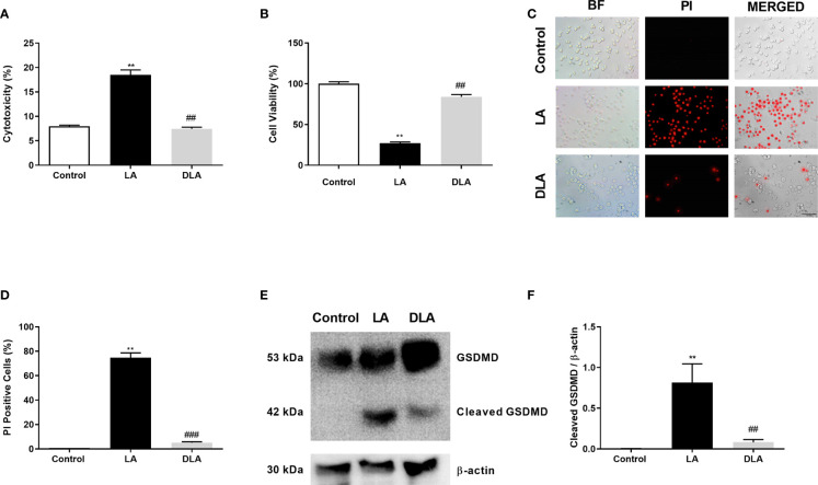 Figure 3