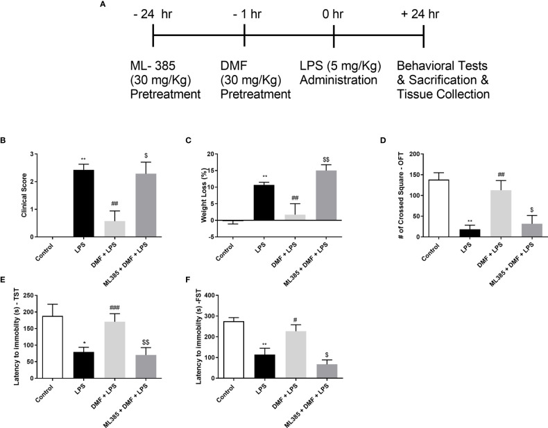 Figure 7