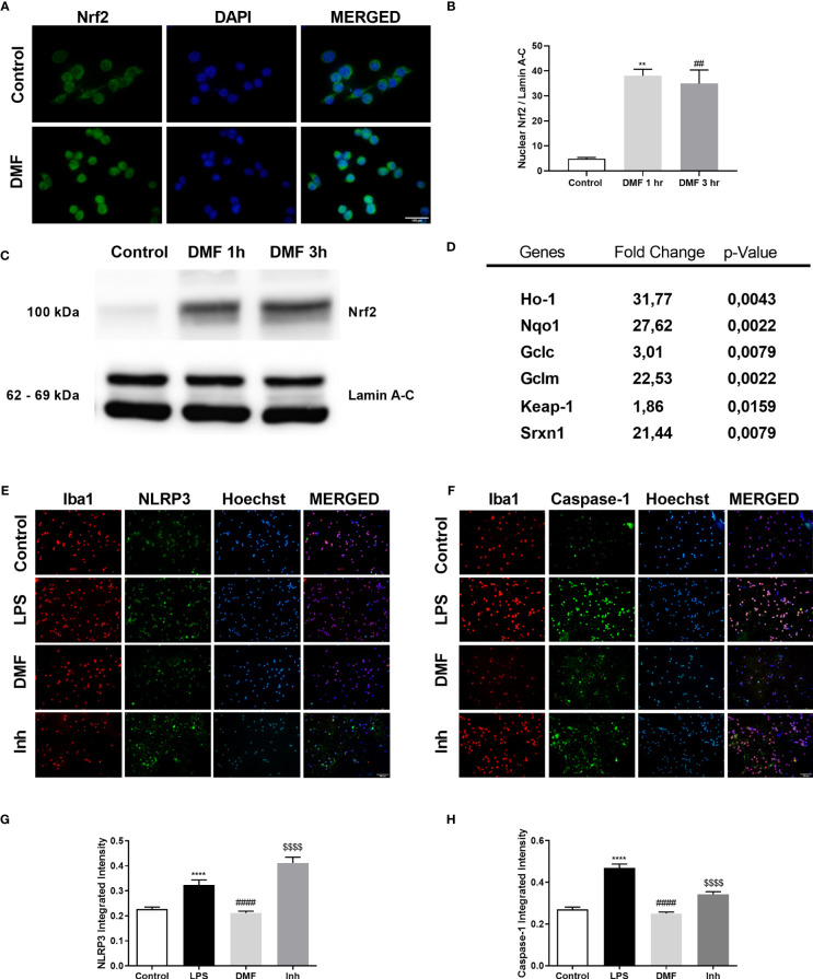 Figure 6