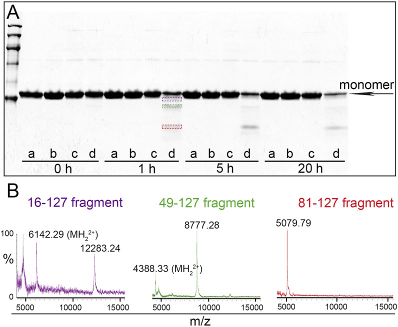 Fig. 2.