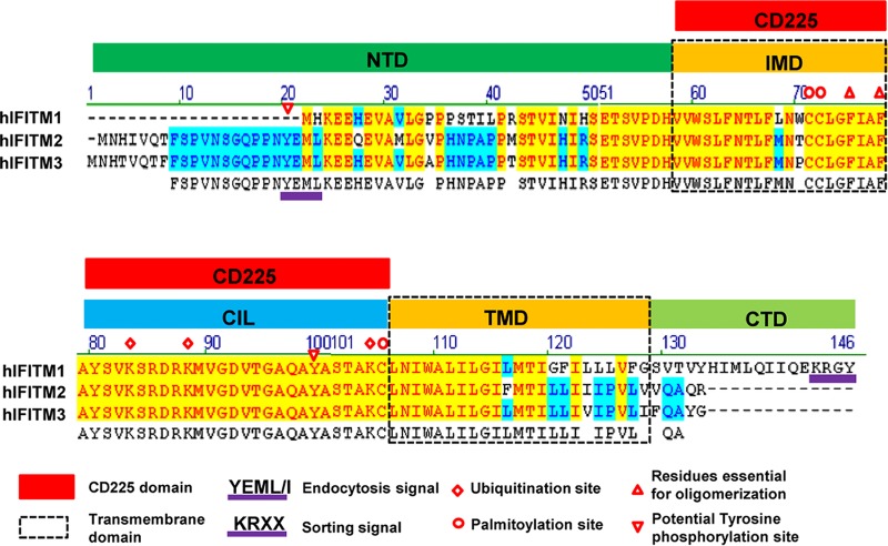 FIG 11