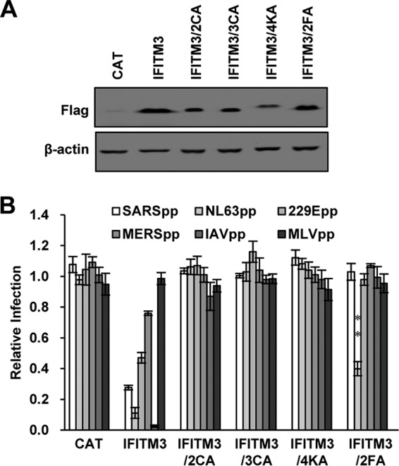 FIG 6