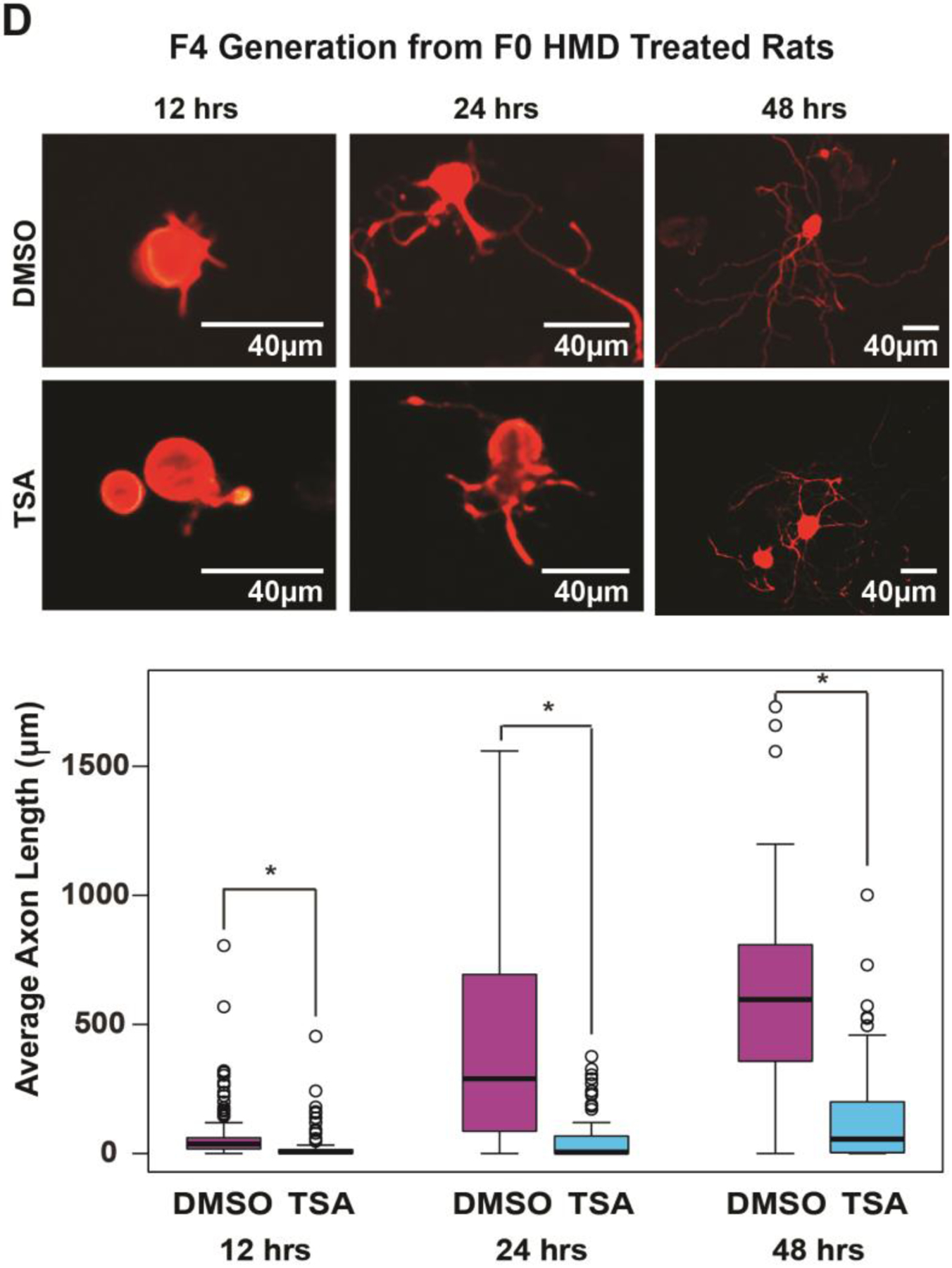 Fig 4.