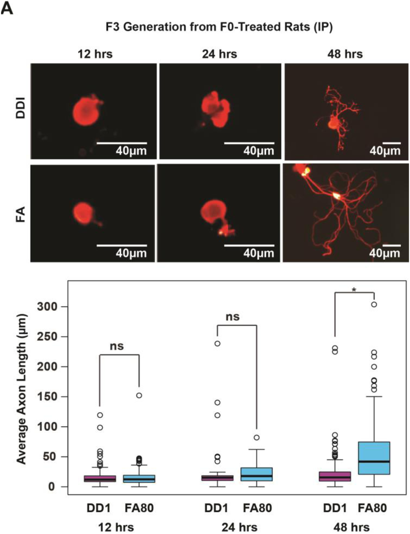 Fig 4.